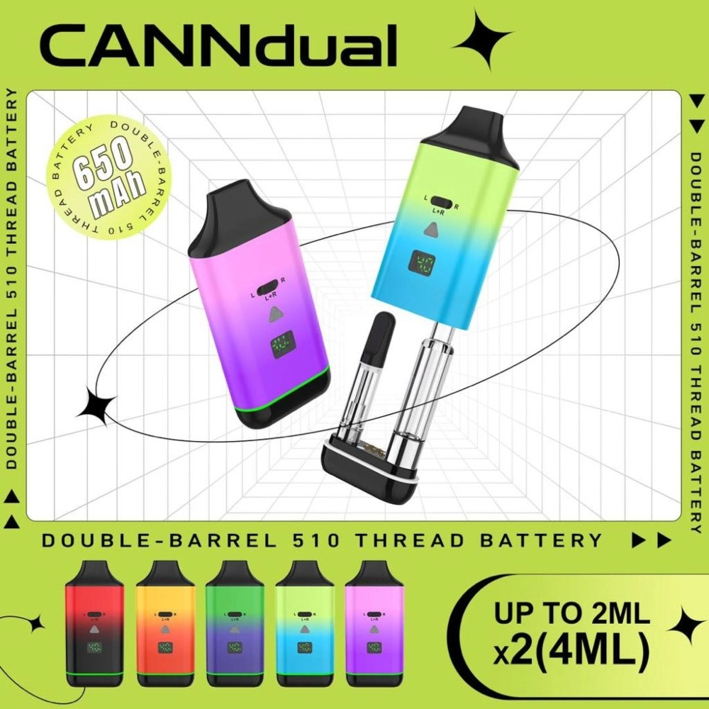 [Q-1551-02] CANNDUAL CARTS DISCREET BATTERY 650MAH (Teal/Purple)