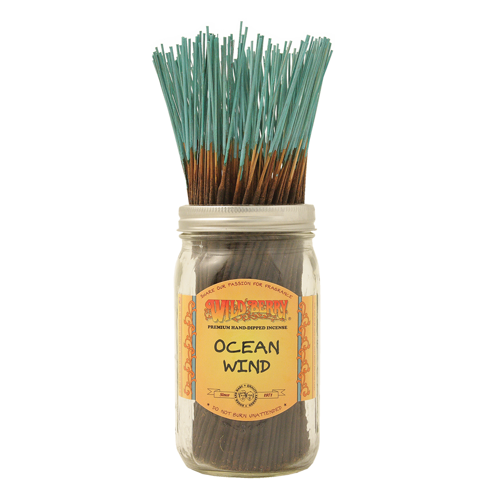 [Q-4056-75] WILD BERRY 100 INCENSE STICKS (Ocean Wind)