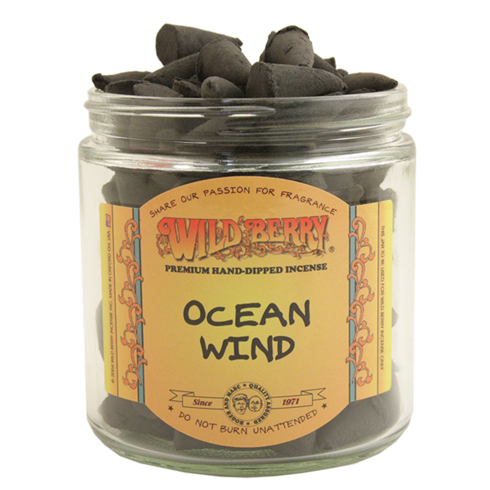 [Q-4059-06] WILD BERRY BACKFLOW CONE (Ocean Wind)