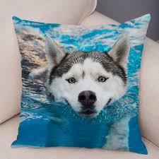 [Q-3074-20] PILLOW SMALL SIZE (DOG)