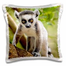 [Q-3074-18] PILLOW SMALL SIZE (MOUSE LEMUR)