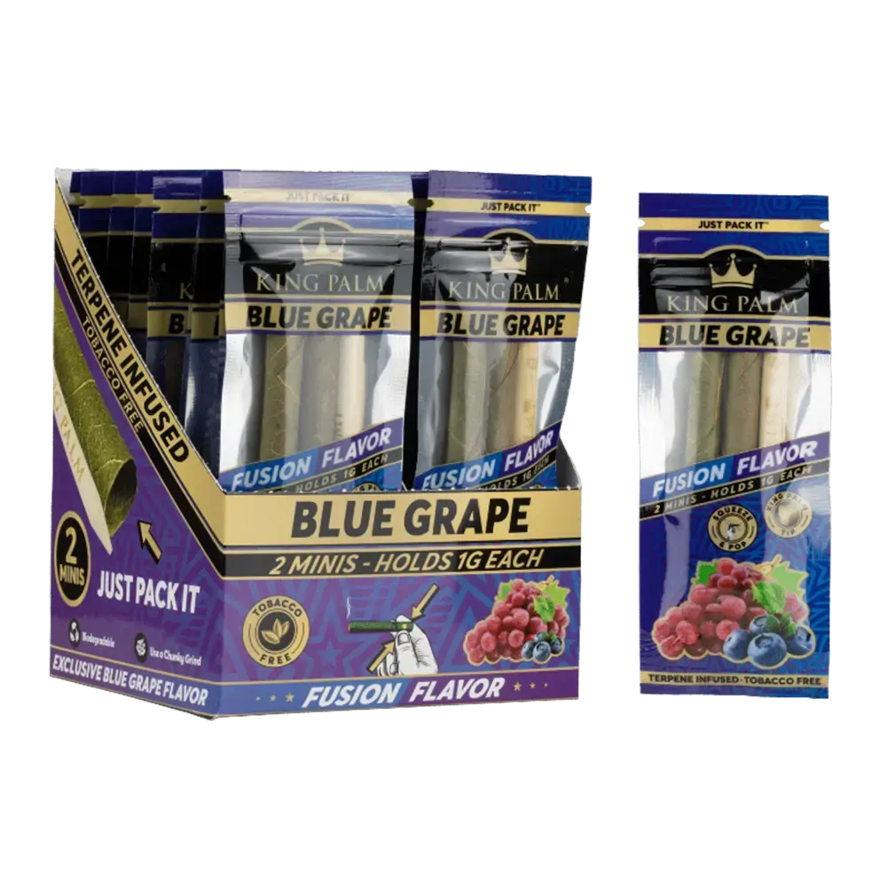 [Q-4546-03] KING PALM CONES MINI 2PK 20CT  (BLUE GRAPE)