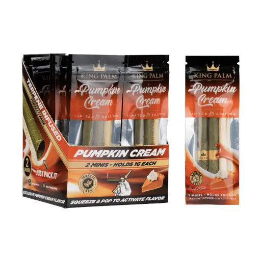 [Q-4546-04] KING PALM CONES MINI 2PK 20CT  (PUMPKIN CREAM)