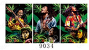 [Q-1145-05] Picture + Frame 40*60cm (Bob Marley)