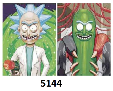 [Q-1121-05] Picture + Frame 30*40cm (Rick & Pickle)