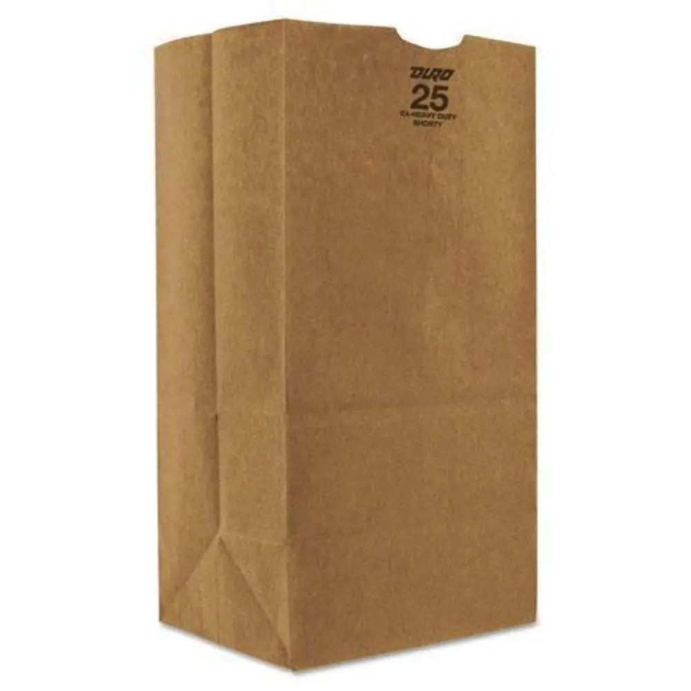 KRAFT SMALL PAPER BAGS- 500PK