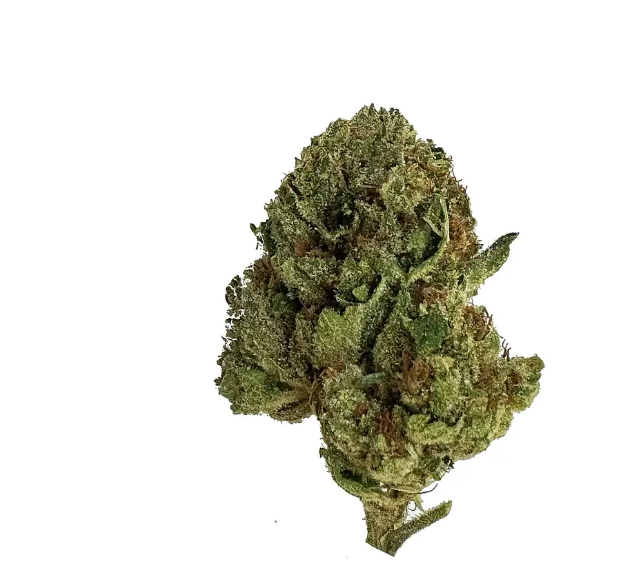 [Q-4762-01]  Budz Burn LUX THC-A Flower Snowballz 3.5G Jar (Sativa)