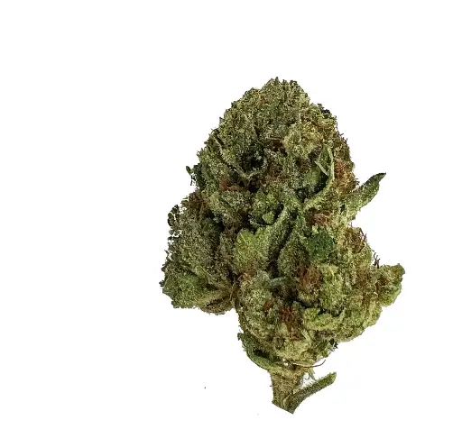  Budz Burn LUX THC-A Flower 7G Jar